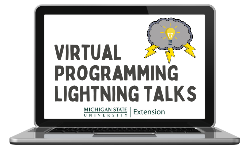 Image of a computer with the words virtual programming lightning talks